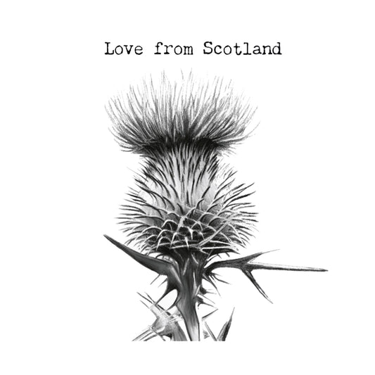 Love From Scotland Thistle Greeting Card — card front