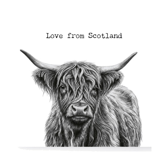 Love From Scotland Highand Coo Greeting Card — card front