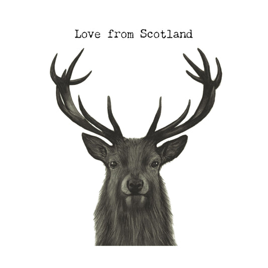 Love From Scotland Stag Greeting Card — card front
