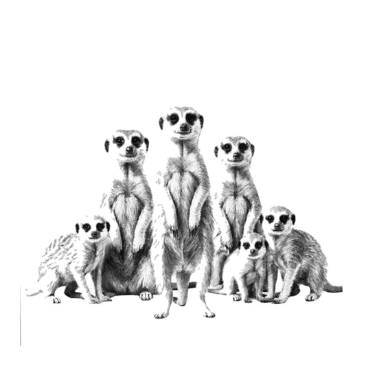 Meerkat Family Hand Drawn Greeting Card — card front