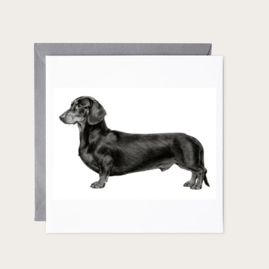 Sausage Dog Card — card with grey envelope