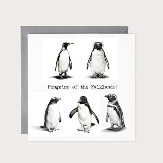 Penguins of the Falklands Greeting Card — card with grey envelope