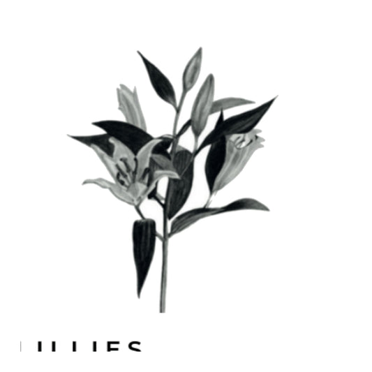 Lillies Greeting Card — card front