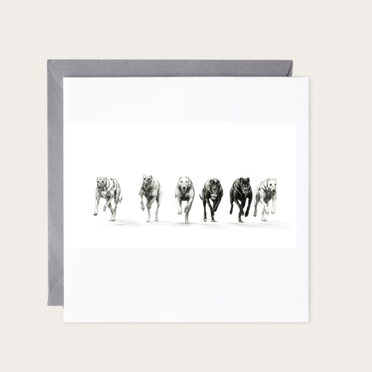 Greyhound Racing Card | Greyhound Racing Birthday Card — card with grey envelope