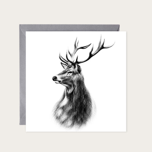 Highland Stag Hand Drawn Greeting Card — card with grey envelope