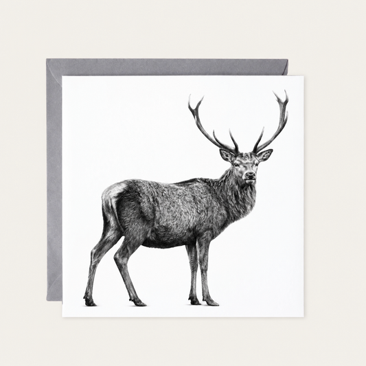 Standing Stag Hand Drawn Greeting Card — standard grey envelope mockup