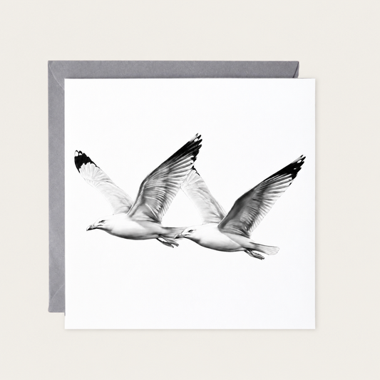 Seagulls in Flight Greeting Card — standard grey envelope mockup