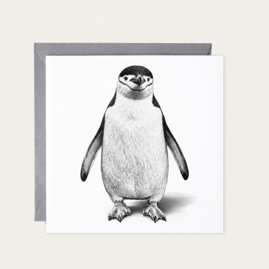 Penguin Greeting Card — standard grey envelope mockup