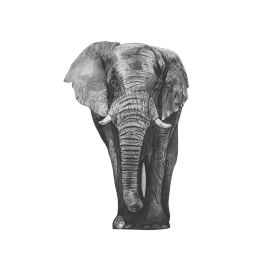 Atik the Elephant Hand-Drawn Greeting Card – Stunning Wildlife Illustration — card front