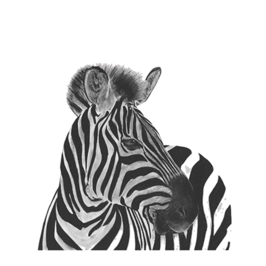 Capella the Zebra Hand-Drawn Greeting Card – Striking Wildlife Art — card front