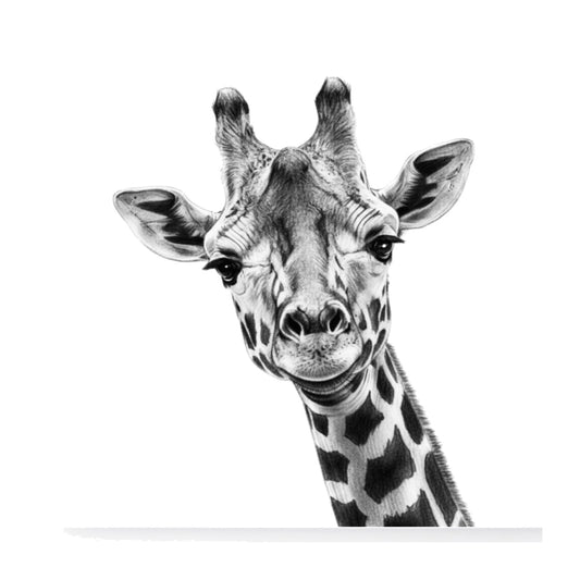 Maya the Giraffe Hand-Drawn Greeting Card – Elegant Wildlife Art — card front