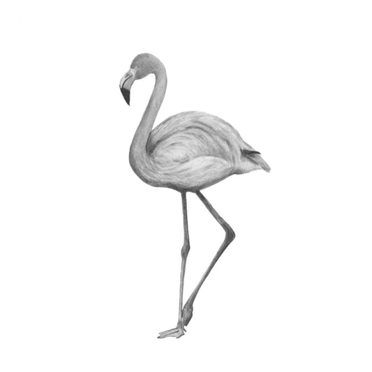 Celeste the Flamingo Hand-Drawn Greeting Card – A Graceful and Fun Illustration — card front