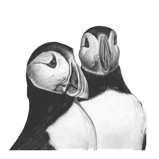 Gemini the Puffins Hand Drawn Wildlife Greeting Card — card front