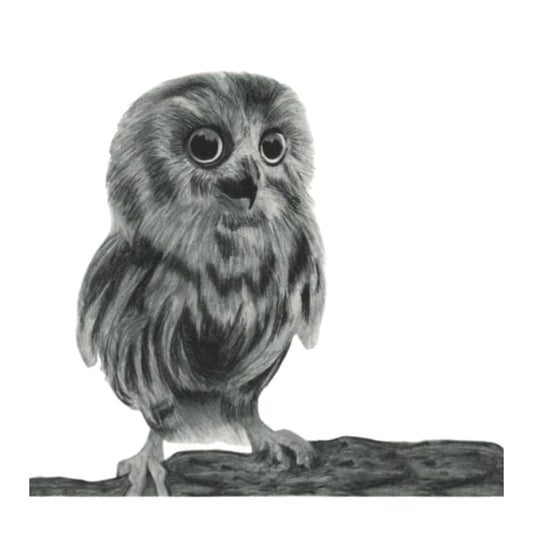Talitha the Owl Greeting Card — card front