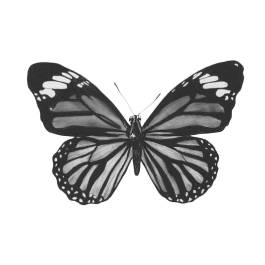 Antila the Butterfly Hand Drawn Greeting Card — card front