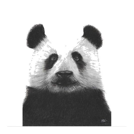 Cepheus the Panda Hand Drawn Greeting Card — card front