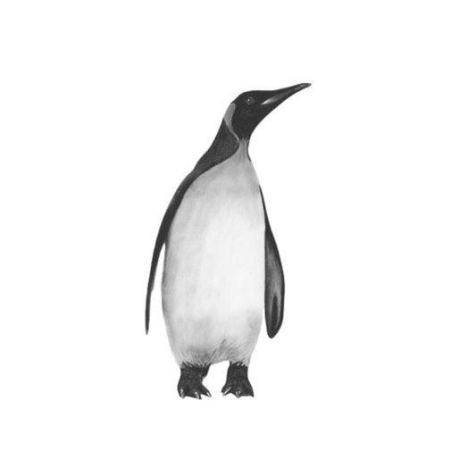 Alya the Solo Penguin Hand-Drawn Greeting Card – A Heartwarming Winter Illustration — card front
