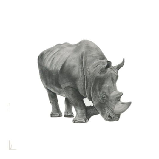 Situla the Rhino Hand-Drawn Greeting Card – A Striking Wildlife Illustration — card front