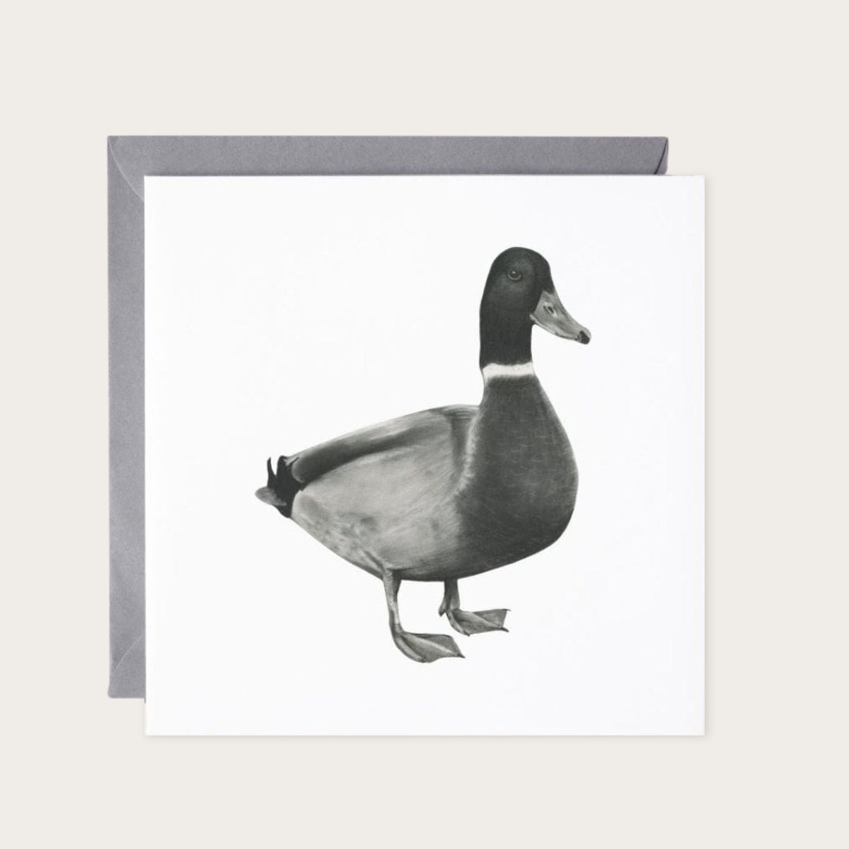 Rana the Duck Hand-Drawn Greeting Card – Countryside Wildlife Art — card with grey envelope