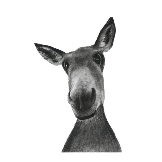 Sirius the Donkey Hand-Drawn Greeting Card – Countryside Animal Art — card front
