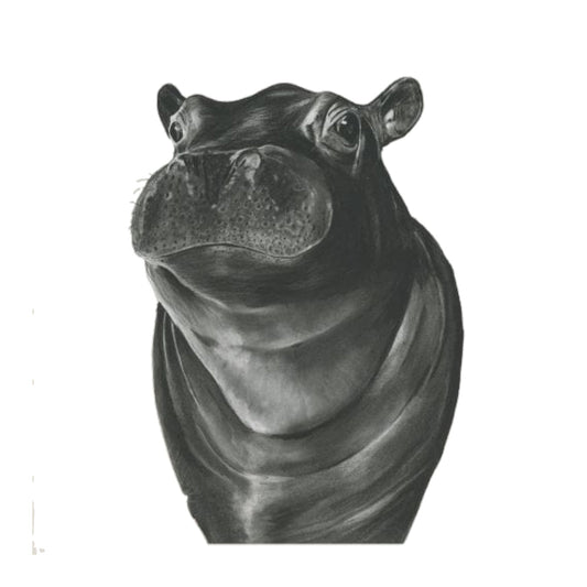 Carina the Hippo Hand-Drawn Greeting Card – Wildlife Art Card — card front