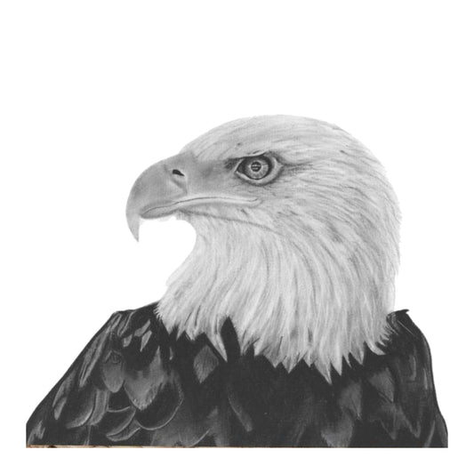 Arrakis the Bald EagleGreeting Card – Majestic Bird of Prey Art Card — card front