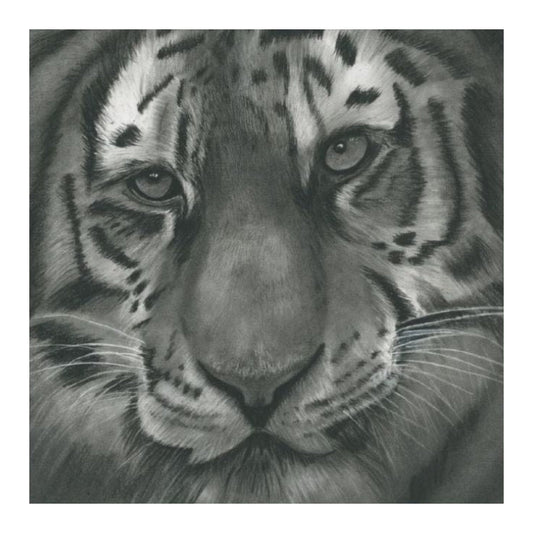 Hercules the Tiger Hand-Drawn Greeting Card – Wildlife Art Card — card front