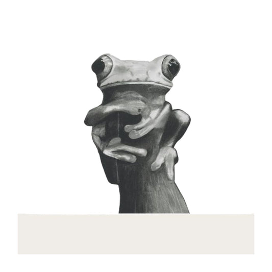Drako the Frog Greeting Card — card front
