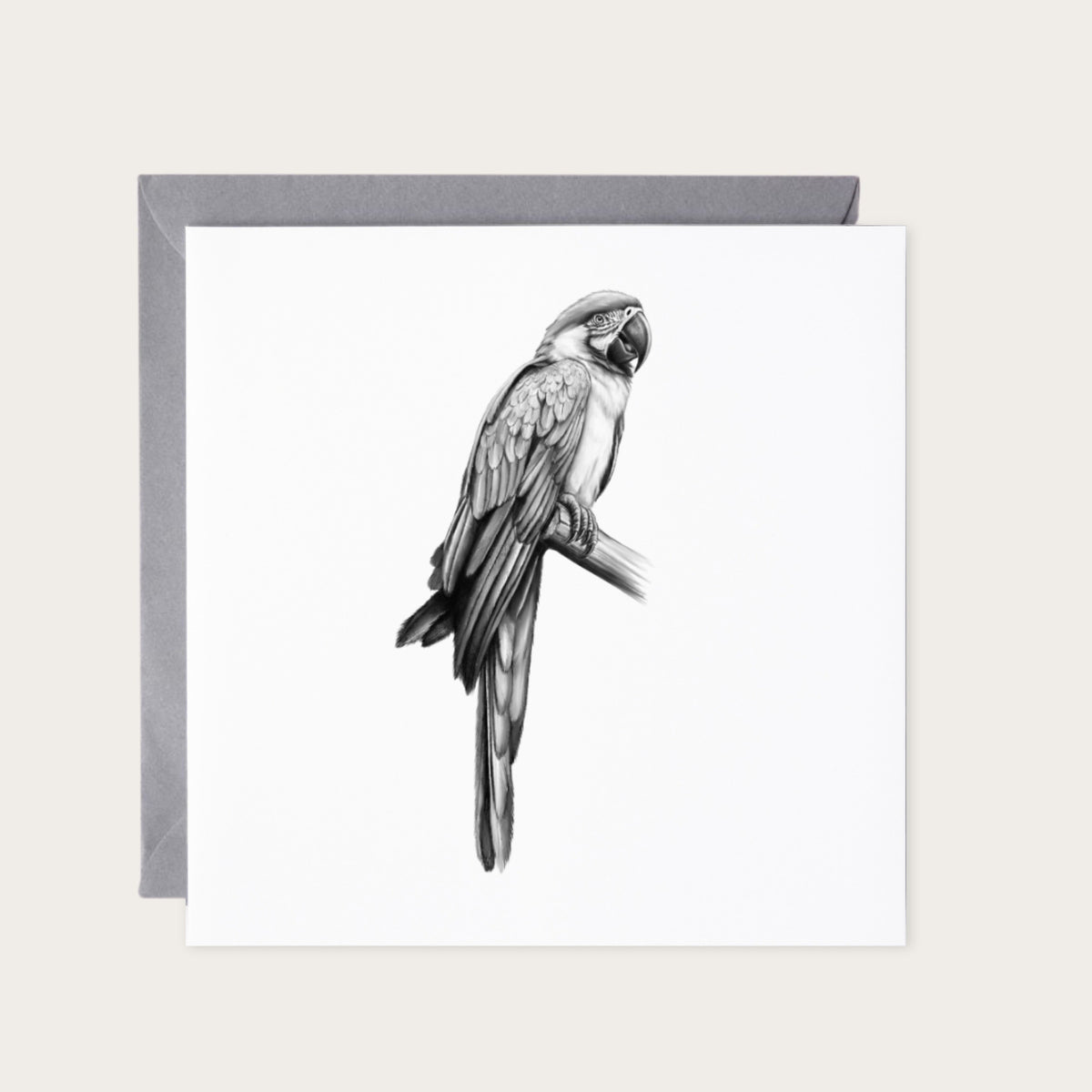 The Parrot Hand-Drawn Greeting Card – Exotic Wildlife Illustration — card with grey envelope