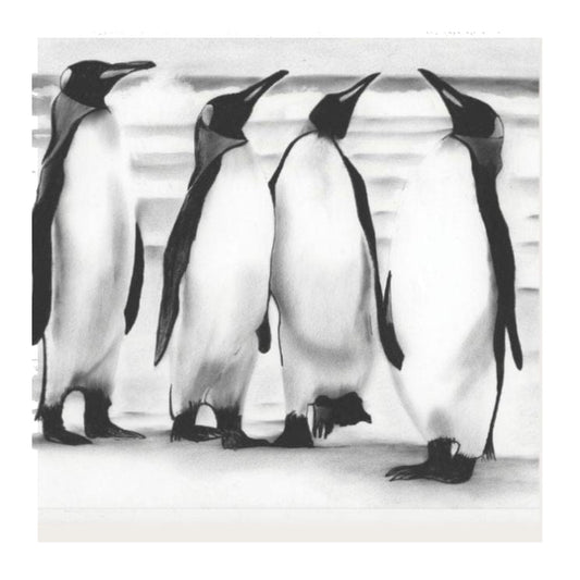 Plane Spotting Penguins Hand Drawn Greeting Card — card front