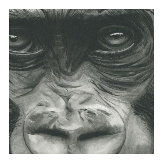 Cassius the Gorilla Hand Drawn Greeting Card — card front