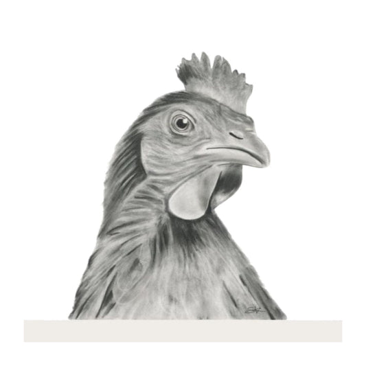 Alpha the Cockerel Hand Drawn Greeting Card — card front