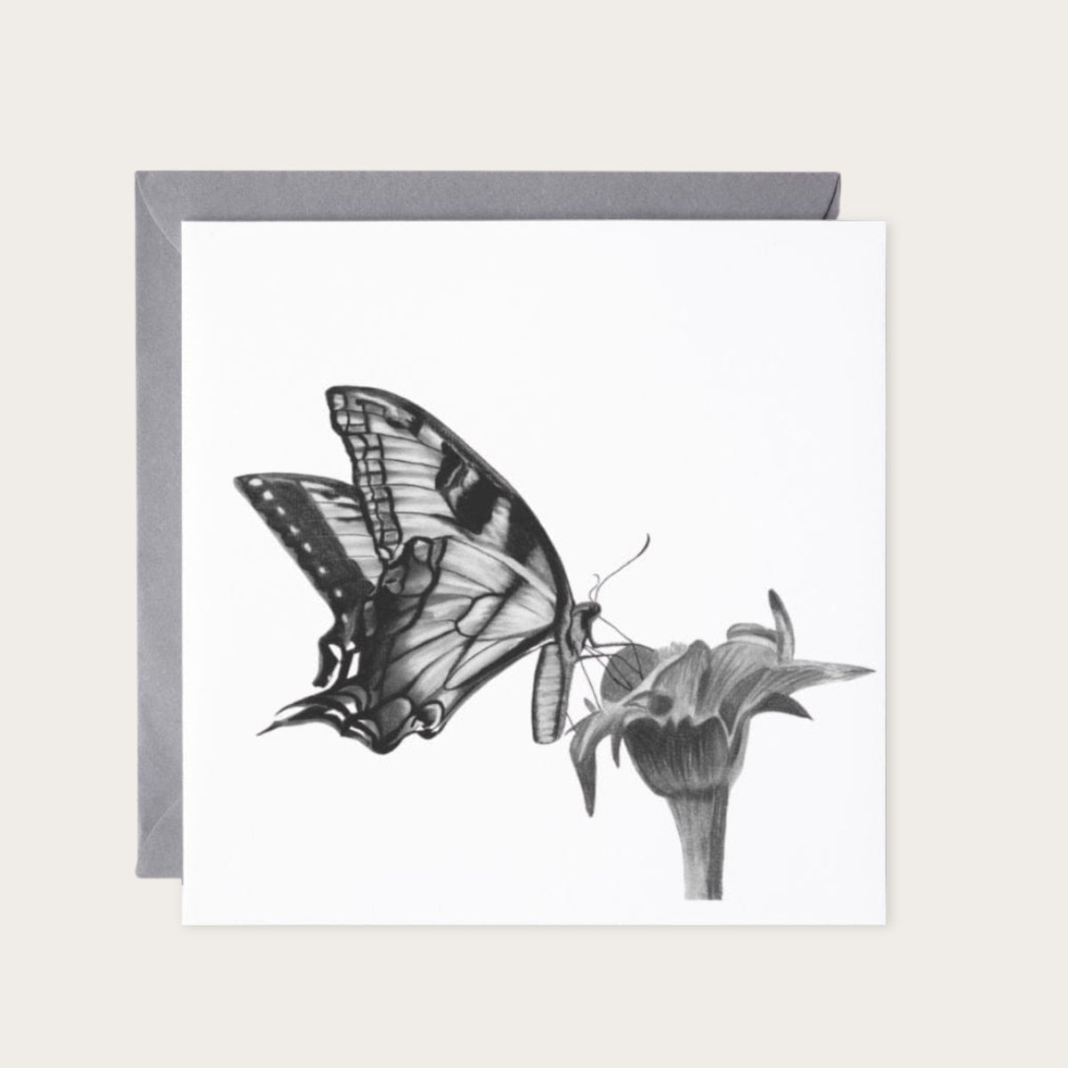 Antares the Butterfly Greeting Card – Hand Drawn Nature-Inspired Art for Butterfly Lovers — card with grey envelope