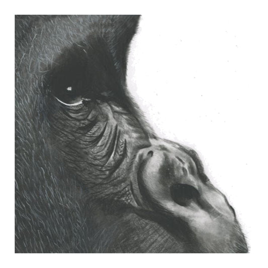 Orion the Gorilla Hand Drawn Greeting Card — card front
