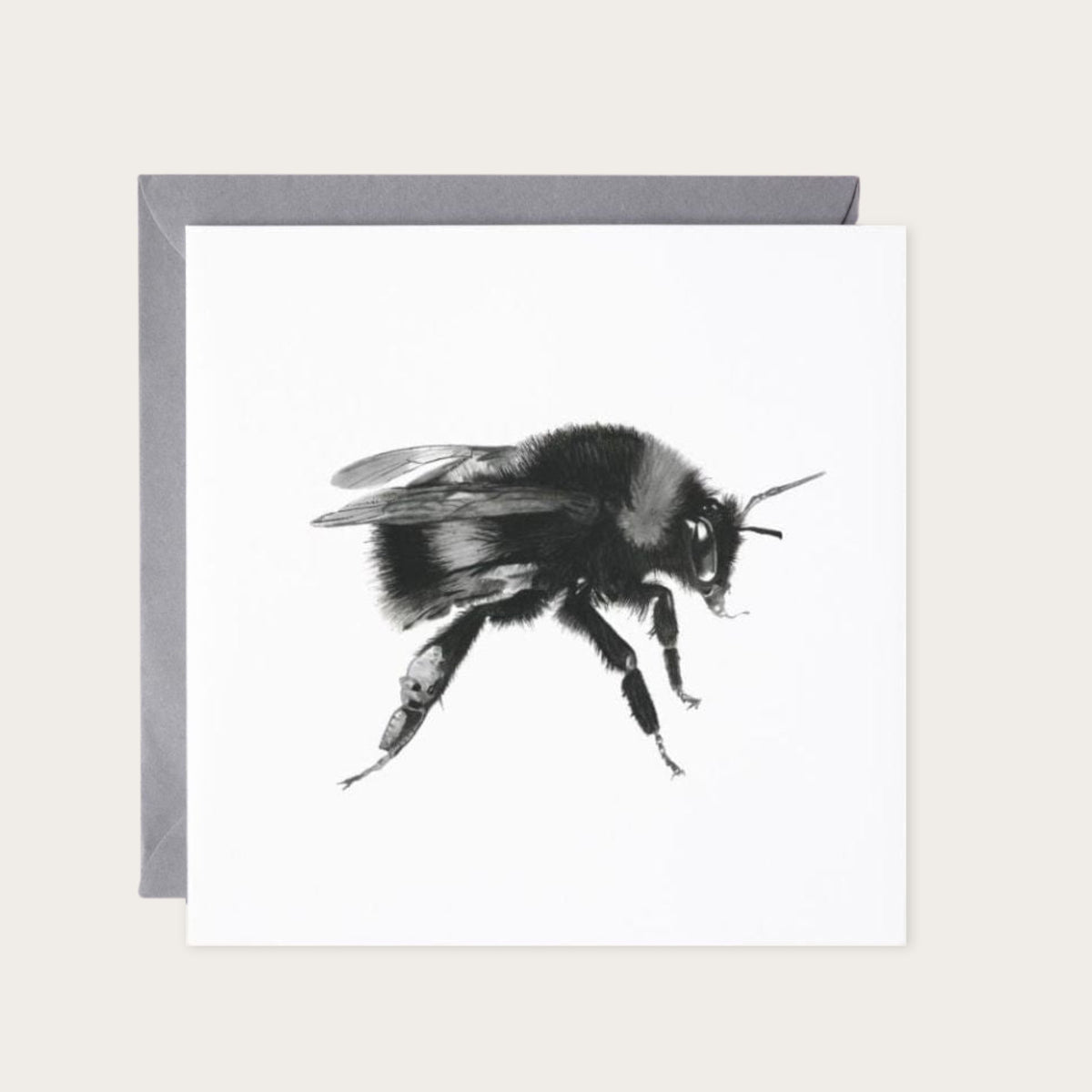 White-tailed Bumble Bee Greeting Card — card with grey envelope
