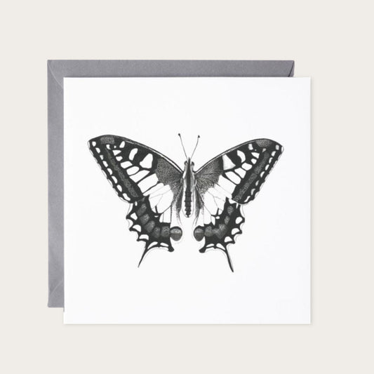 Old World Swallowtail Hand Drawn Greeting Card — card with grey envelope