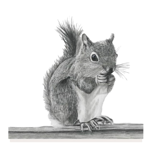 Estelle the Squirrel Hand Drawn Greeting Card — card front