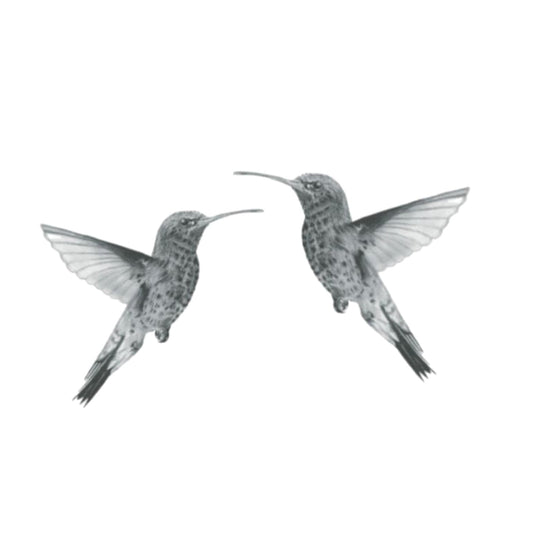 Two Hummingbirds Hand-Drawn Greeting Card – A Delicate and Beautiful Nature Illustration — card front