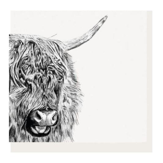 Menkar the Highland Cow Hand Drawn Greeting Card — card front