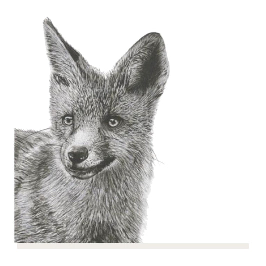 Fornax the Fox Hand Drawn Greeting Card — card front