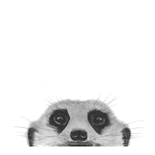 Peeking Myra the Meerkat Hand-Drawn Greeting Card – A Playful Wildlife Illustration — card front