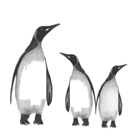 Penguin Family Hand Drawn Greeting Card — card front