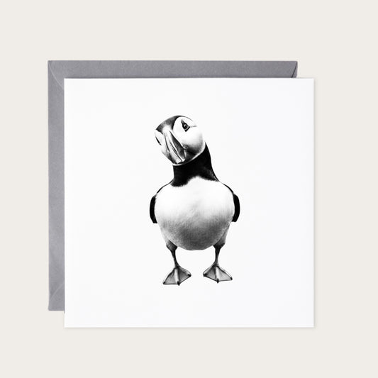 Solo Puffin Greeting Card — card with grey envelope
