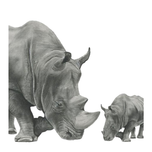 Situla and Baby Rhino Hand-Drawn Greeting Card – A Heartwarming Wildlife Illustration — card front