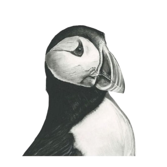 Vela the Puffin Hand Drawn Greeting Card — card front
