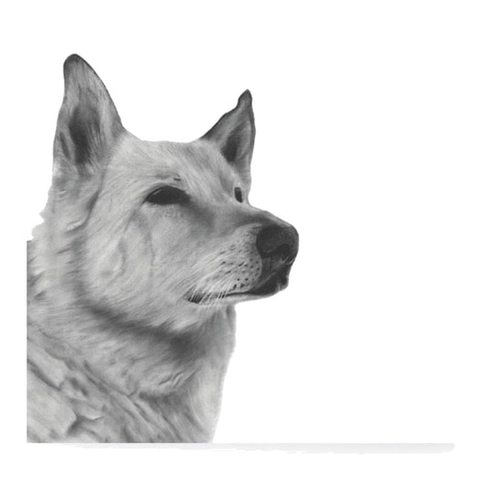 Milo the Alsatian Hand Drawn Greeting Card — card front