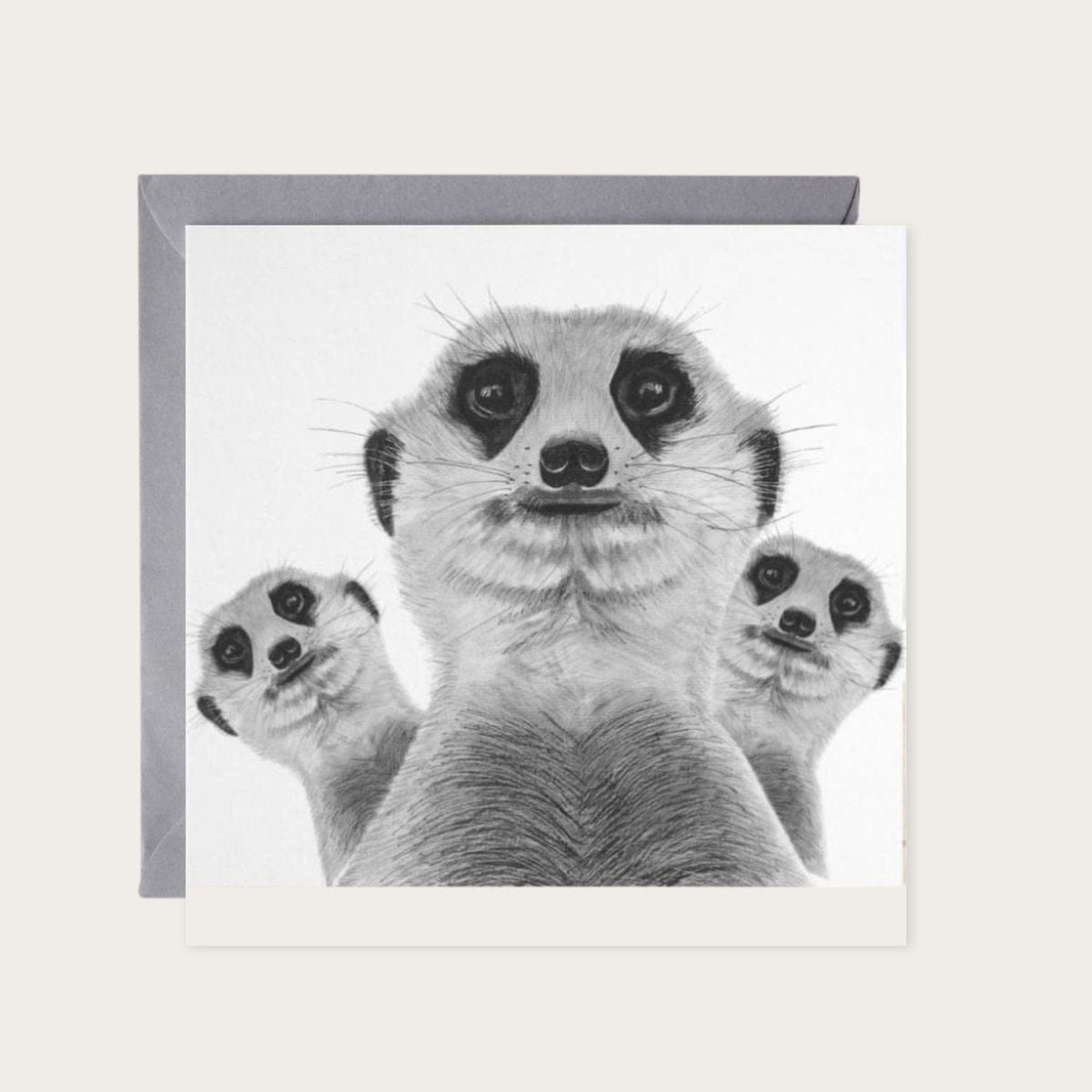 Meerkat Madness Greeting Card — card with grey envelope