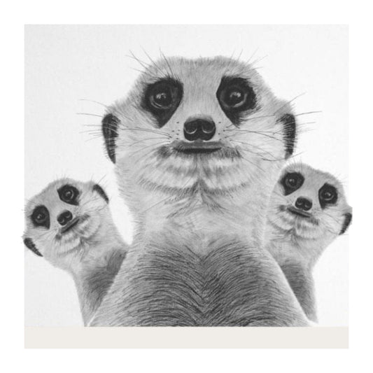 Meerkat Madness Greeting Card — card front