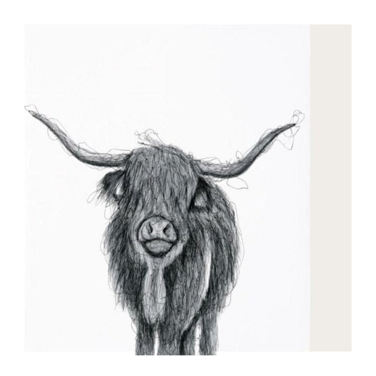 Highland Cow Hand Drawn Greeting Card — card front