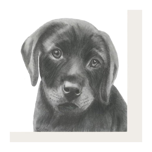 Mimosa the Labrador Hand Drawn Greeting Card — card front